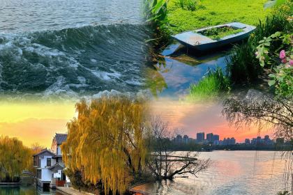 CHUNSHUI POTSTICKERA