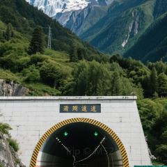 Panda Family User Photo