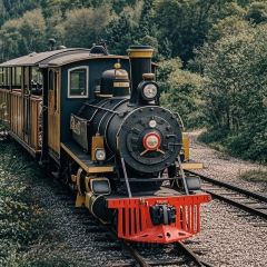 LAOPINGXIANG User Photo