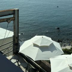 Having Moment User Photo