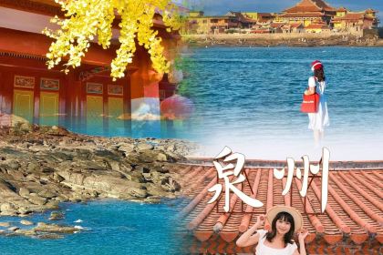 八芳林·泉州菜馆(西街店)