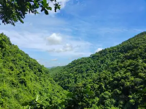 Longjing Waterfall Scenic Area