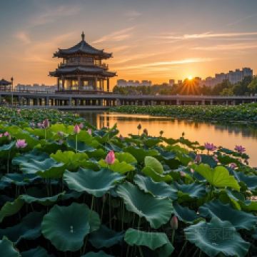 大鍋強·蒸海鮮青島菜（上流滙店）用戶圖片