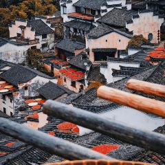 YEXIWANGSHAGUO User Photo