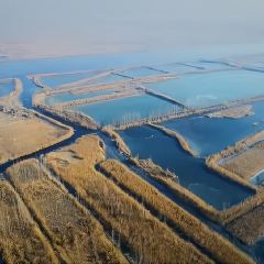 Baijiazhaobing User Photo