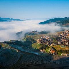 River view Restaurant User Photo