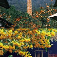 老李家燒烤·安吉網烤（安吉店）張用戶圖片