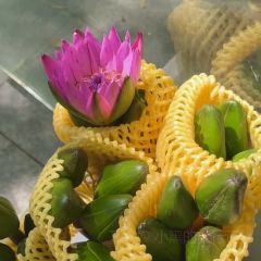 吴进平小食店 User Photo