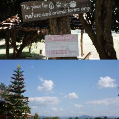 Elely Cafe’ แอลลี่ คาเฟ่張用戶圖片
