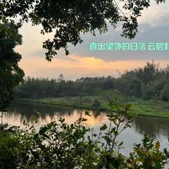 仙河渔村酒家 User Photo