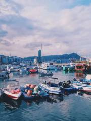 Causeway Bay Typhoon Shelter