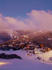 Mount Buller Ski Resort