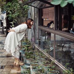 先机泉水鸡汤(南山老君洞店) User Photo