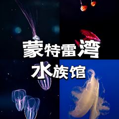 Fish Hopper 여행 사진