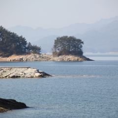 渔水谣·湖岸风味私房菜(千岛湖旅游码头店) User Photo