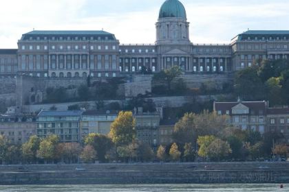 Corso Restaurant & Bar