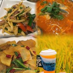 禾锄归·聊·食堂 User Photo