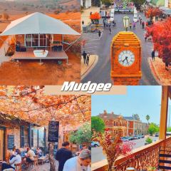 Kangaroo Valley Fudge House & Ice Creamery 여행 사진