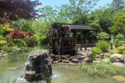 缘一閣·湖景本帮菜(灵山景区拈花湾店)