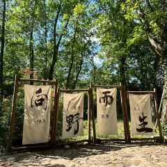 清雅茶苑(山湾里店) User Photo