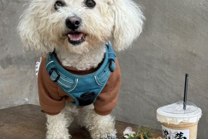 言老头面馆(南环农贸市场店)