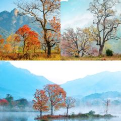 Sage Hall Homestay User Photo