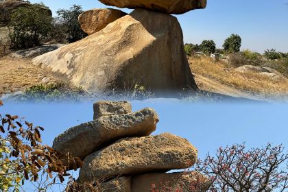 Taj Cafe and Restaurant-The Taste of India