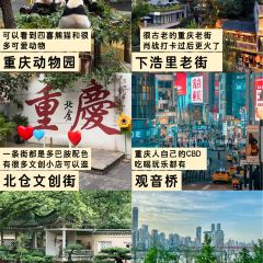 嘉凌码头·重庆特产手工火锅底料(洪崖洞九楼店) User Photo