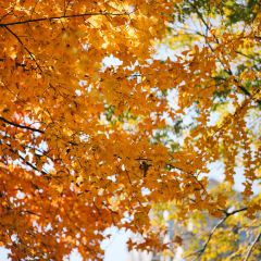 麥當勞（常州西瀛裡店）張用戶圖片