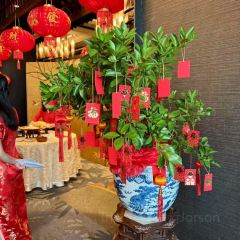 Pagoda Chinese Restaurant 여행 사진