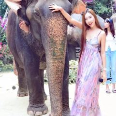 MongChang Cafe User Photo