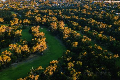 Cicerello's Fremantle