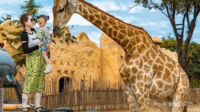 meng huan dong wu yuan