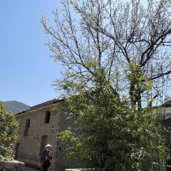 Sanshi Restaurant User Photo