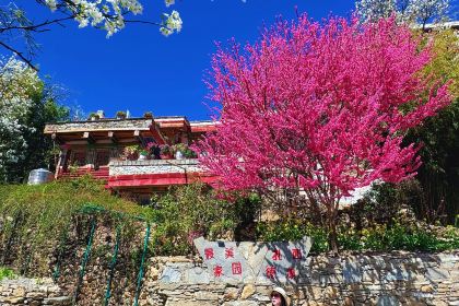 丹巴光与林酒店·及所悬崖餐厅