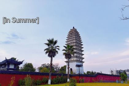 八大块手撕鸡(南门山农贸市场店)