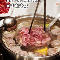 丽华炒冰 User Photo