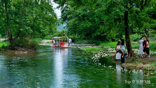 bai shou feng jing qu
