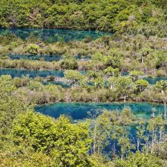 RU YI LIN KA CANG CAN User Photo