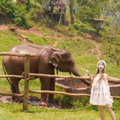 Elefin Farm & Cafe เอเลฟิน ฟาร์ม แอนด์ คาเฟ่ User Photo