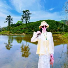 WEN XIN CHA ZHUANG YUAN User Photo