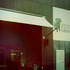 KOFFEE MAMEYA User Photo