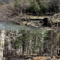 四姑娘山绒雪藏庄 User Photo