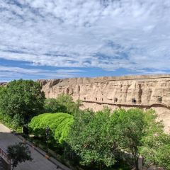 李广记杏皮茶 User Photo