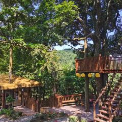 一山树屋咖啡营地 User Photo