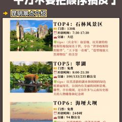 菌齐彩菇 User Photo