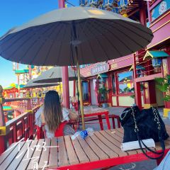 安吉云上草原·1168星空天文酒店·雪具大厅餐厅 User Photo