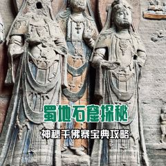 中国柠檬小镇 User Photo