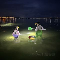 虎婆香草鴨·海南大排檔（清水灣美食街店）張用戶圖片