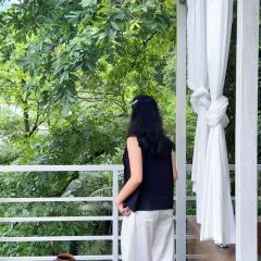 CHUAN JIANG YU FU HUO GUO ZONG DIAN User Photo